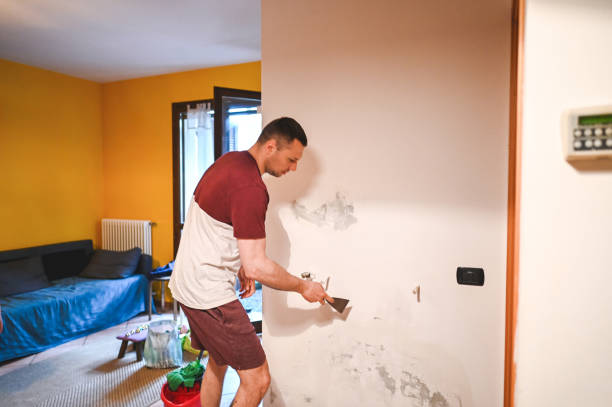 Best Mold Testing and Inspection Services in Gilbert, MN